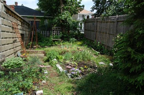 Permaculture And The Backyard Garden Backyard Garden Backyard