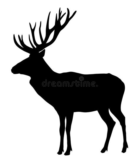 Roe Deer Silhouette Stock Illustrations 1001 Roe Deer Silhouette