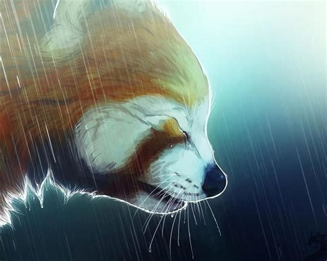 Anime Red Panda Wallpapers Wallpaper Cave