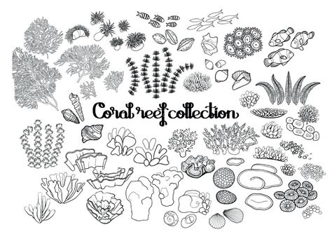 Coral reef coloring page | malvorlagen, fische zeichnen. Malvorlagen Unterwasserwelt Algen - tiffanylovesbooks.com