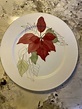 Block SPAL Poinsettia DINNER PLATE Watercolors by Mary Lou Goertzen ...