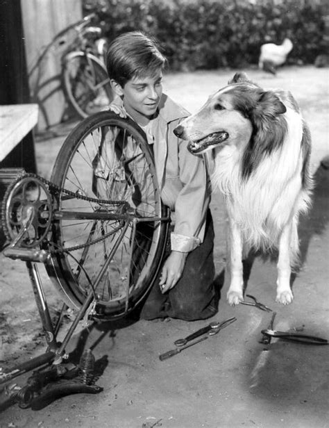 Filelassie And Tommy Rettig 1956 Wikimedia Commons