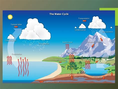 Hydrologic Cycle The Water Cycle The Water Cycle