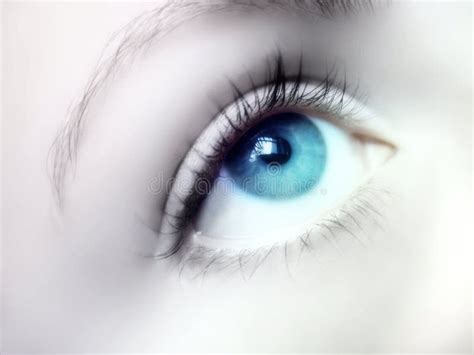 Olhos Azuis Imagem De Stock Imagem De Menina Pupila 27459857