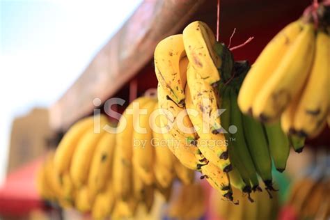 Hanging Bananas At Farmers Market Stock Photo Royalty Free Freeimages