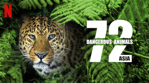 72 Dangerous Animals Asia 2018 Netflix Flixable