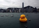 巨大的橡皮小黄鸭（Rubber Duck）为什么会轰动全香港？ - 知乎