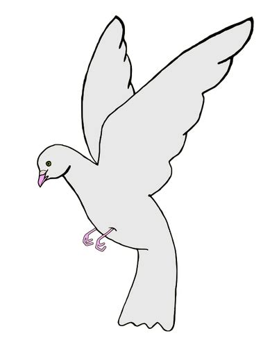 Download White Dove Clipart Png Free Freepngclipart