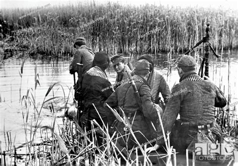Gotenkopfstellung), was a german position on the taman peninsula, russia, between the sea of azov and the black sea. The Nazi propaganda picture shows members of the German ...
