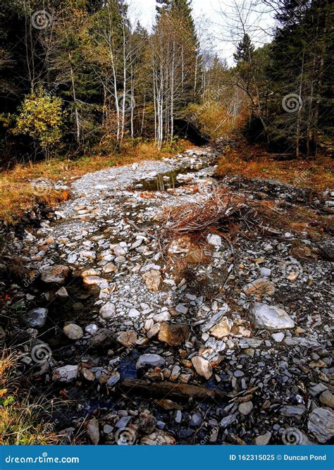 Rocky Mountain Stream With Autumn Color Stock Image Image Of Birch