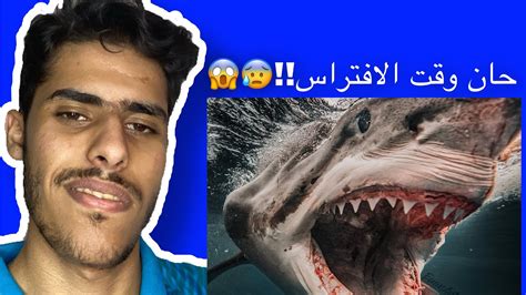 لعبة محاكي سمكة القرش ماتوقتعت بيصير كذا 😱 man eater youtube