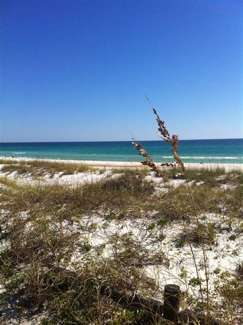 To communicate or ask something with the place, the phone number is (252). Destin Florida - Henderson Beach State Park | Beautiful ...