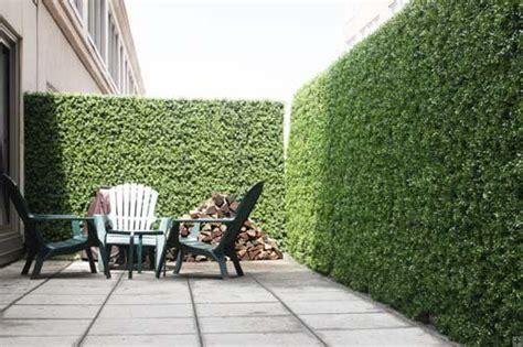 Check spelling or type a new query. Artificial Ivy Screening Plant The Range Roll B Q ...
