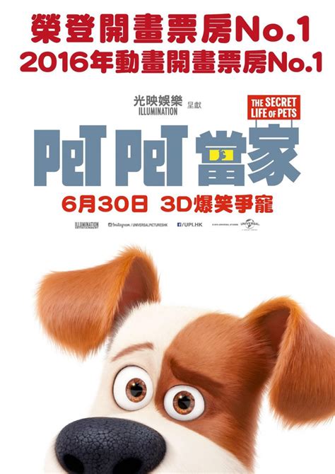 You can download the full movie of the secret life of pets from itunes. The Secret Life of Pets DVD Release Date | Redbox, Netflix ...