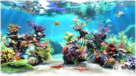A collection of the top 47 fish tank wallpapers and backgrounds available for download for free. Sim Aquarium - Virtual Aquarium, Screensaver and Live ...
