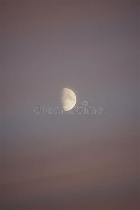 Moonrise In The Evening In November Frosty Evening Stock Photo Image
