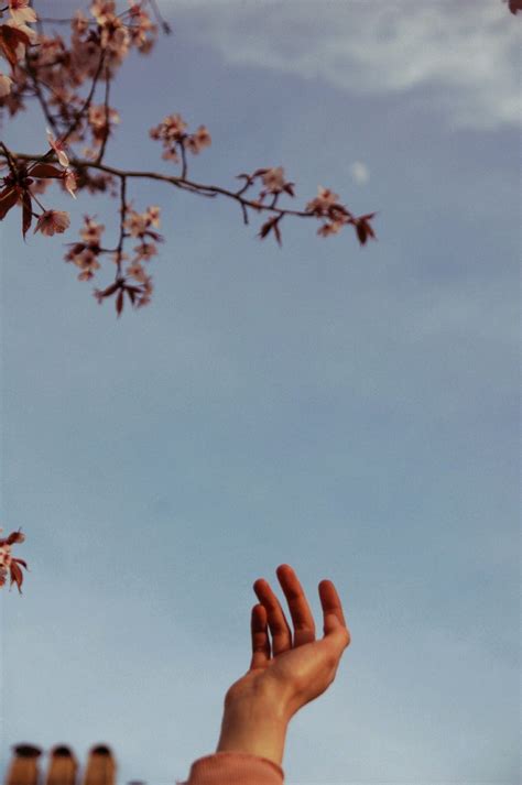 A Hand Reaching Up Into The Sky To Catch A Frisbee