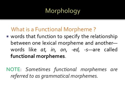 When we talk about words, there are two groups: Morphology