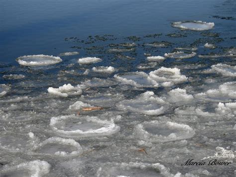 Ice Circles In Syracuse New York Todays Image Earthsky