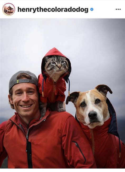Meet Henry Baloo The Cat And Dog Duo Hiking Through Life Dogs Monthly