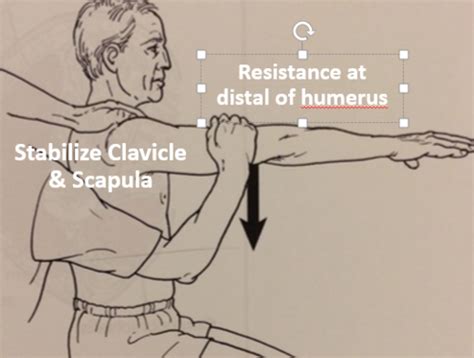 Manual Muscle Testing For Upper Limb