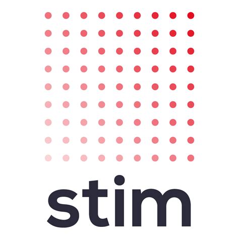 Startup Stim Accompagne Des Entreprises Dans Leurs Activités D