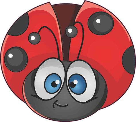 5in X 45in Red Ladybug Sticker Vinyl Animal Vehicle Window Decal Stickers