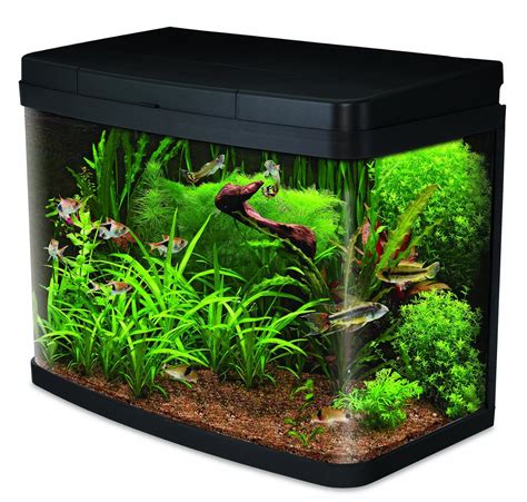 Interpet Insight Glass Aquarium Fish Tank Premium Kit L Amazon Co