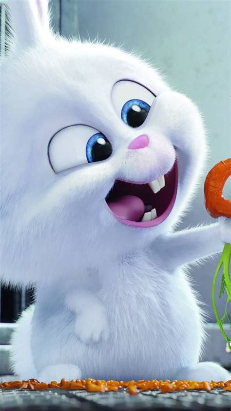 Cute Bunny Cartoon Cute Cartoon Pictures Rabbit Cartoon Cartoon Pics