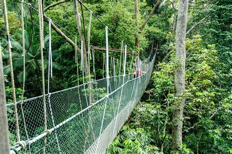 Taman negara translates as 'national park'; Top 10 Things to Do in Kelantan, Malaysia