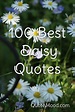100 Most Inspiring Daisy Quotes | Daisy quotes, Daisy, Quotes
