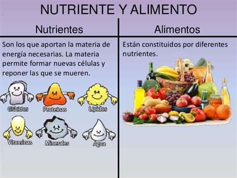 Crónicas De Una Maestra Rural Los Alimentos Y Los Nutrientes 3º Ep