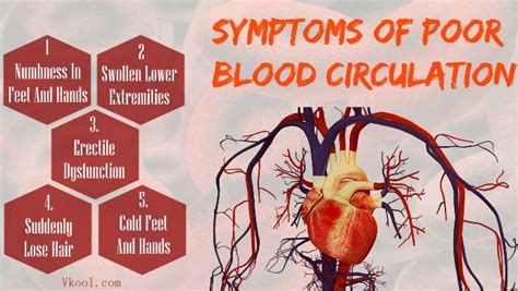 10 Signs And Symptoms Of Poor Blood Circulation In Legs