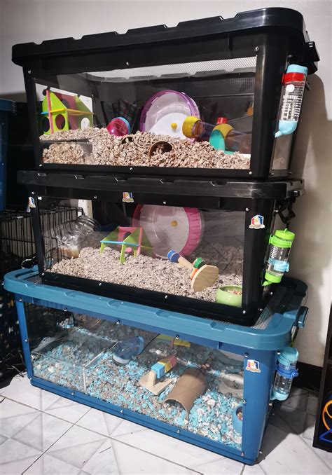 Pin By Alessia On Bunny Love In Hamster Diy Hamster Bin Cage Hamster Cages