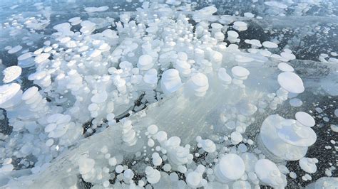 Stunning Ice Bubbles In Frozen Lake Fascinate Visitors Cgtn