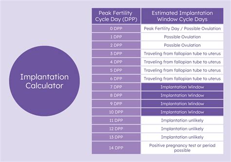 Implantation Calculator When Will It Happen How To Calculate