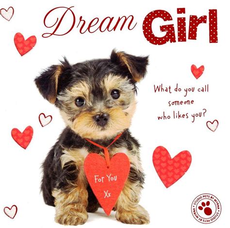 Dream Girl Cute Puppy Dog Valentines Day Greeting Card