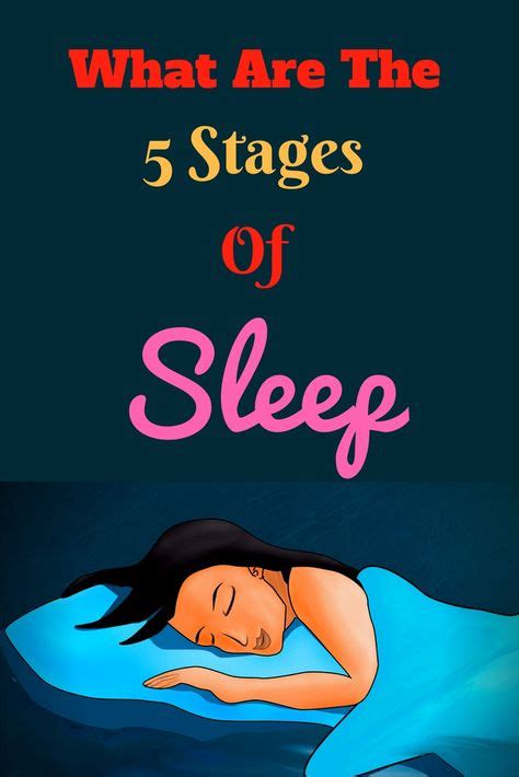 what happens to your body when you dont get enough sleep 5 stages of sleep stages of sleep