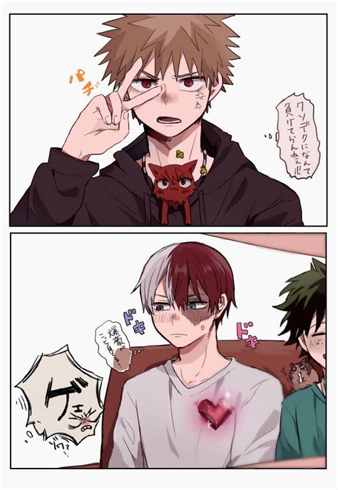 Todobaku Bakutodo Todoroki Shouto Bakugou Katsuki Boku No Hero