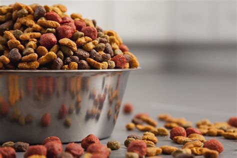 From Bowls To Health The Importance Of Quality Dog Food