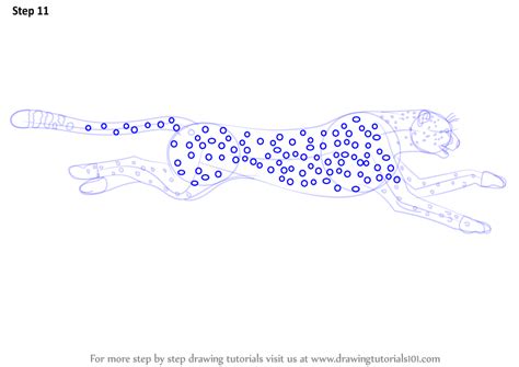 To measure the right distance to the ground, draw a line the same height as the chest right under it, and. Learn How to Draw a Cheetah Running (Big Cats) Step by ...