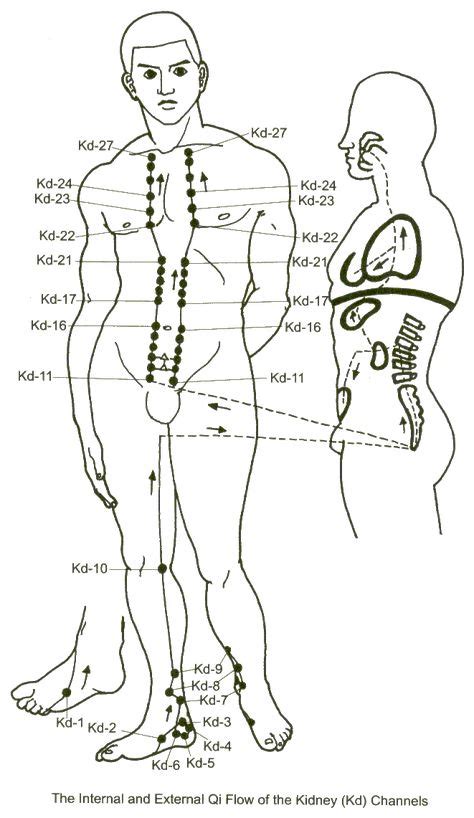 48 Acupuncture Meridians And Points Ideas Acupuncture Acupuncture