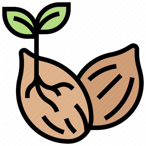 Germination Growth Plant Seedling Seeds Icon