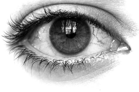 Eye Close Up Nickos Big Picture Eye Drawing Realistic Eye Eye