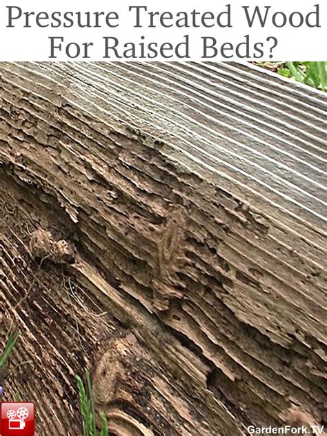 Much of the concern about pressure treated lumber comes from a fear of adding arsenic to the soil. 17 Best images about Yard Makeovers and Projects on ...