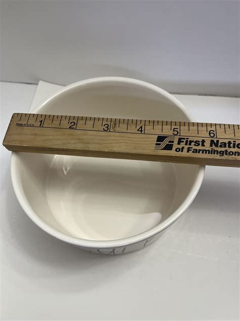 RAE DUNN Magenta Artisan Collection 6" GULP Dog Cat Bowl Ivory Food