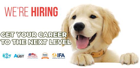 We developed a custom dog purposeful approach that. Join Our Team Sydnee S Pet Grooming