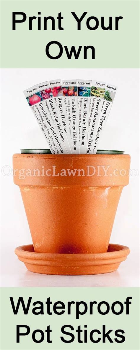 Print Your Own Waterproof Pot Stick Plant Labels At Home Plant Labels