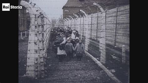 Su Rai Storia Canale I Testimoni Di Auschwitz Quindici Racconti
