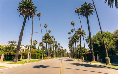 Beverly Hills Neighborhood Guide Barbra Stover